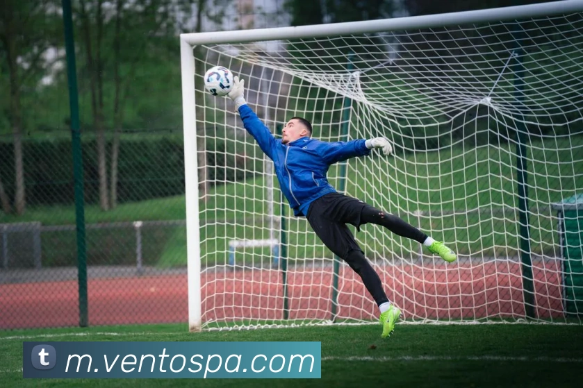 App Interface Preview