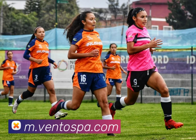 pa真人视讯APP 封面图